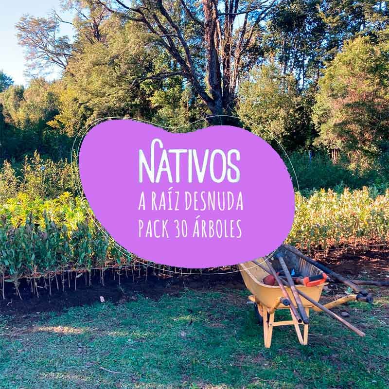PACK30ARBOLESNATIVOS