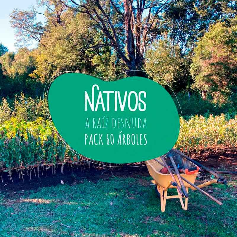 PACKNATIVO60ARBOLES